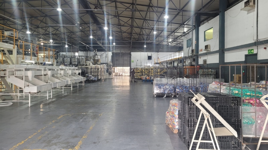 To Let commercial Property for Rent in Epping Industrial Western Cape
